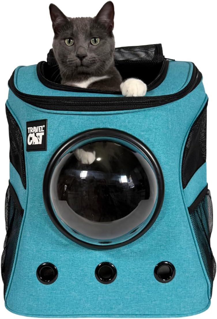 Cat Backpack1