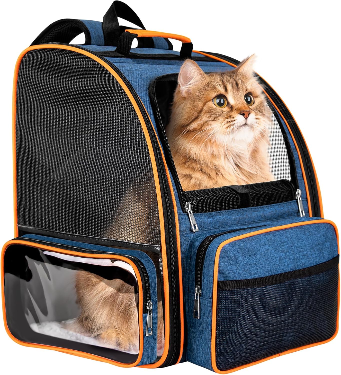 Cat Backpack9