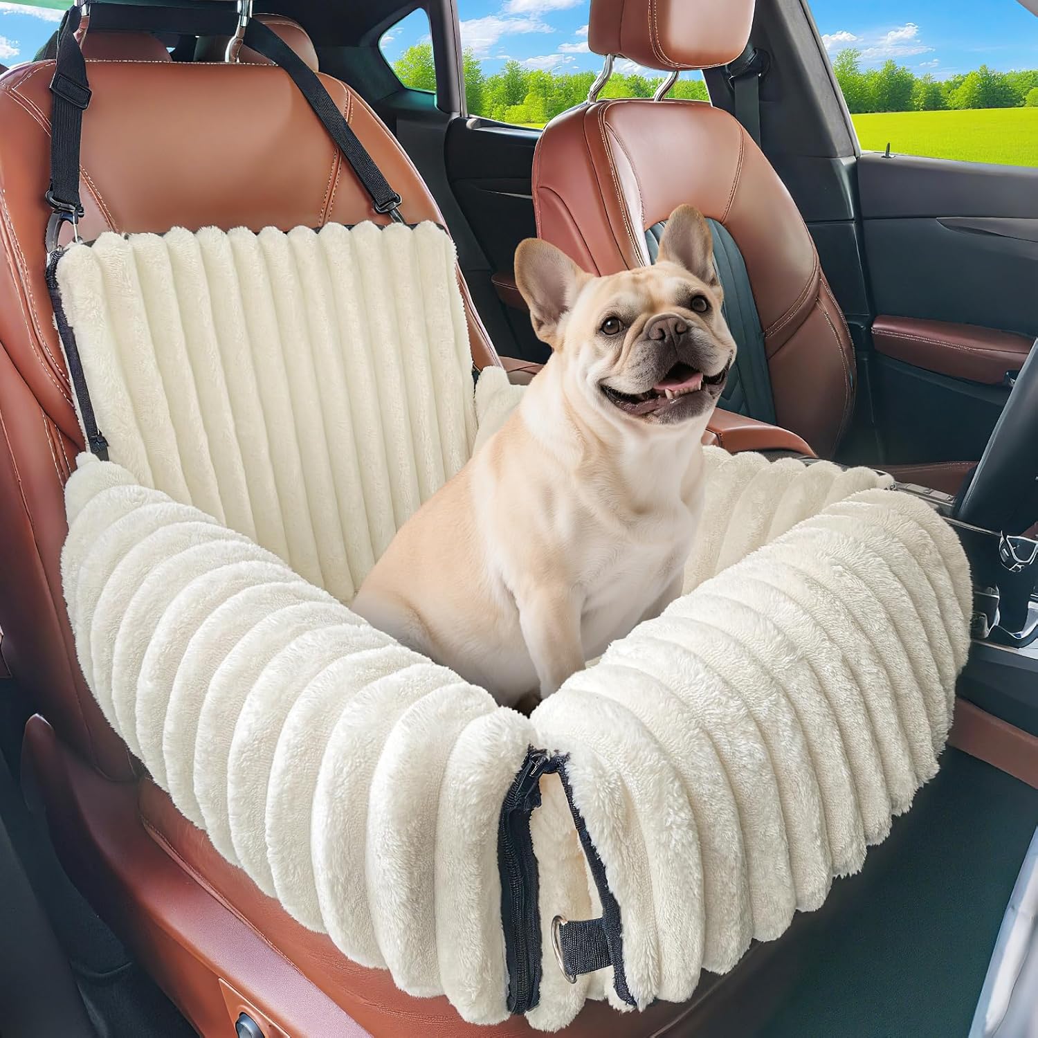 car seat19