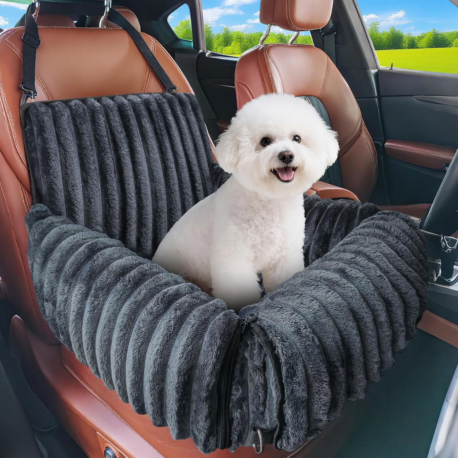 car seat20