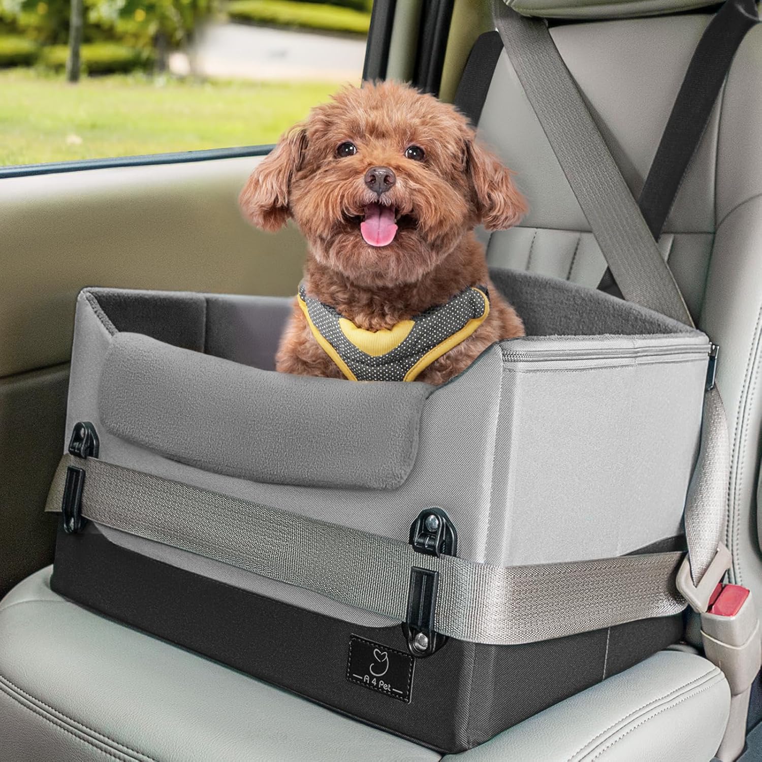 car seat24