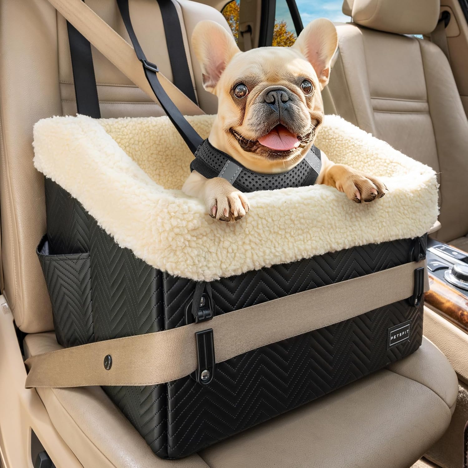 car seat56