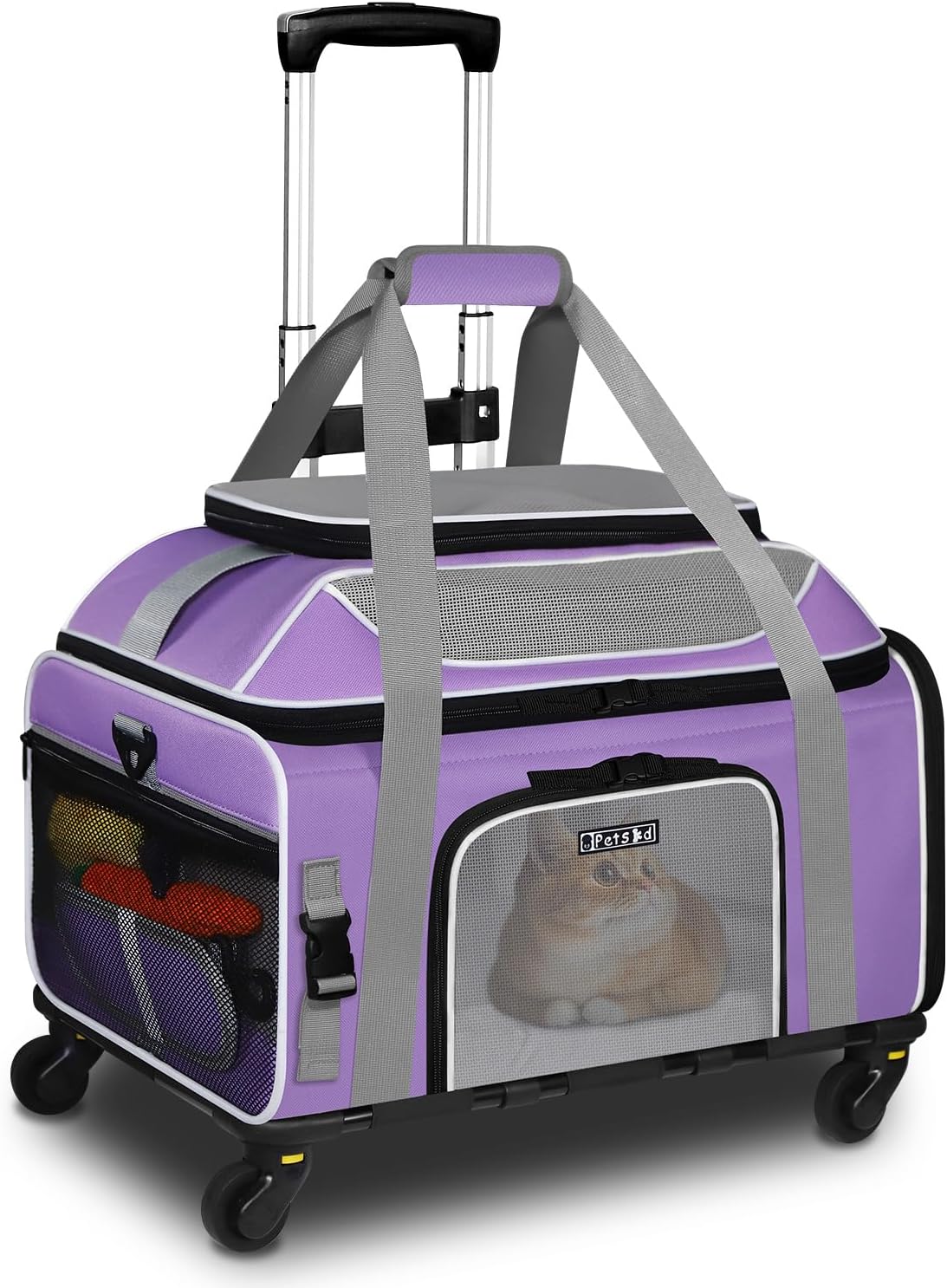 cat carrier17