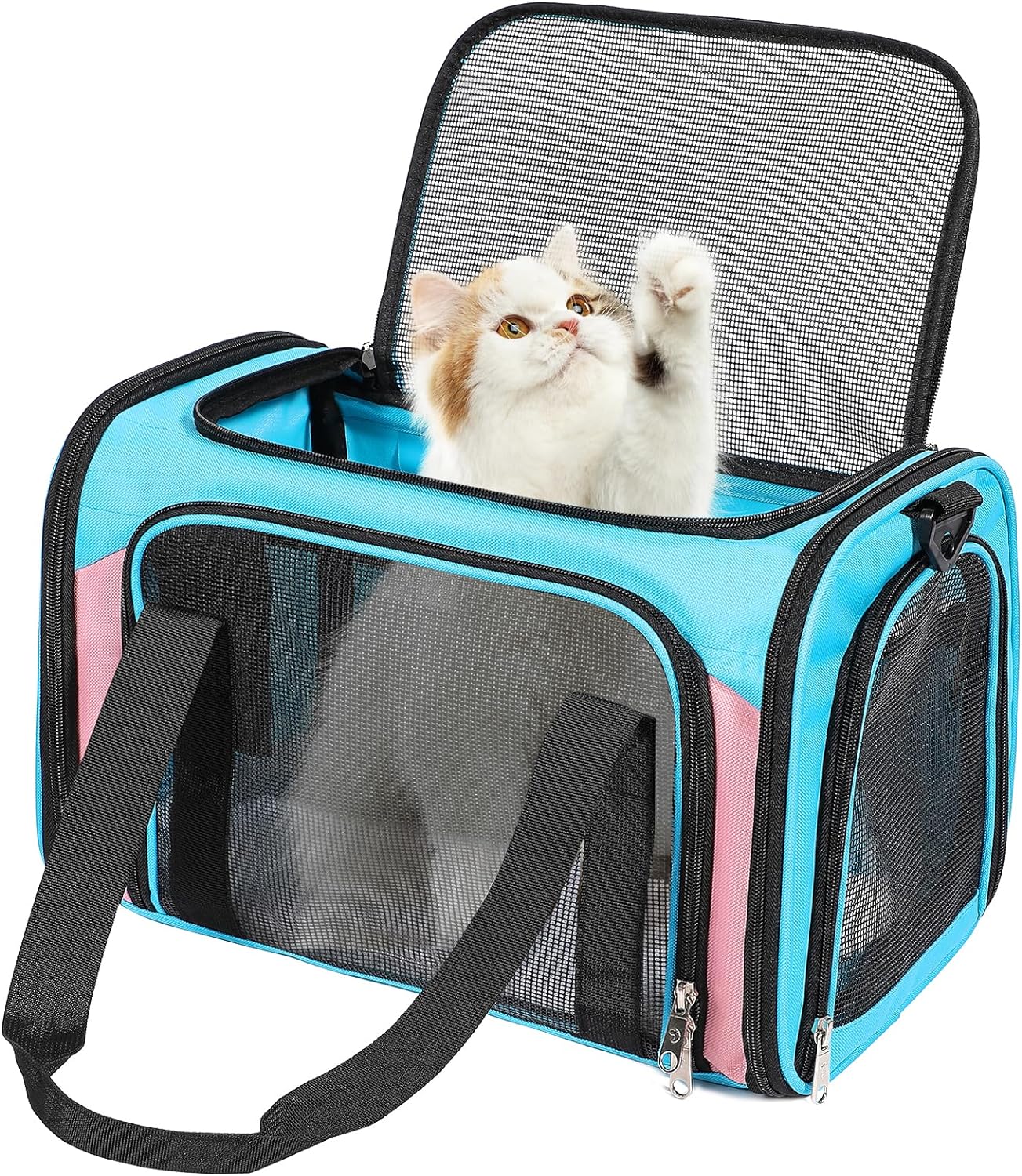 cat carrier9
